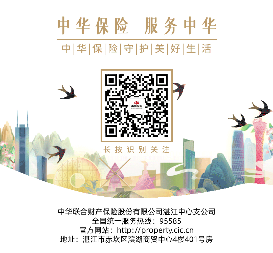 355dcf64-2e5f-48e4-8ffc-529cfc2e20ad.jpg